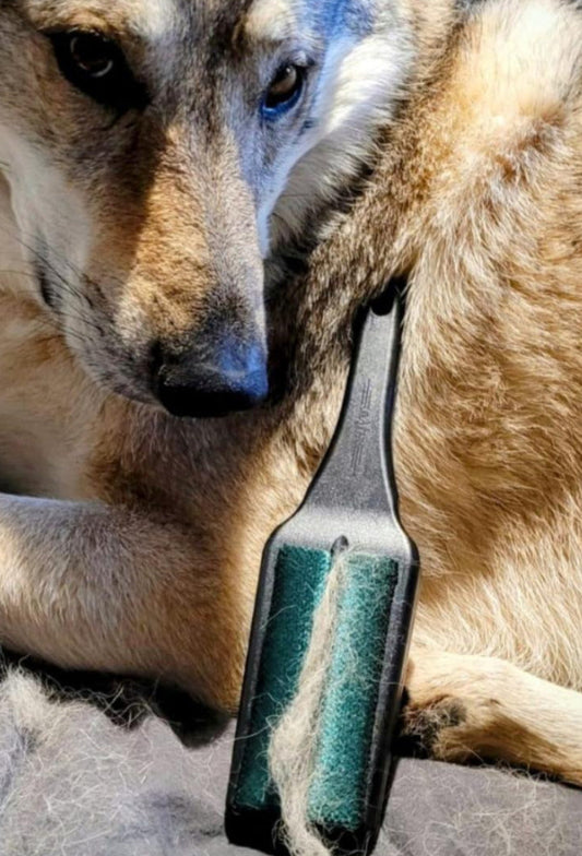 Neu  ELRAS HuKaBü "Green Edition" Multi- Funktionsbürste entfernt Tierhaare mühelos, Versandkostenfrei